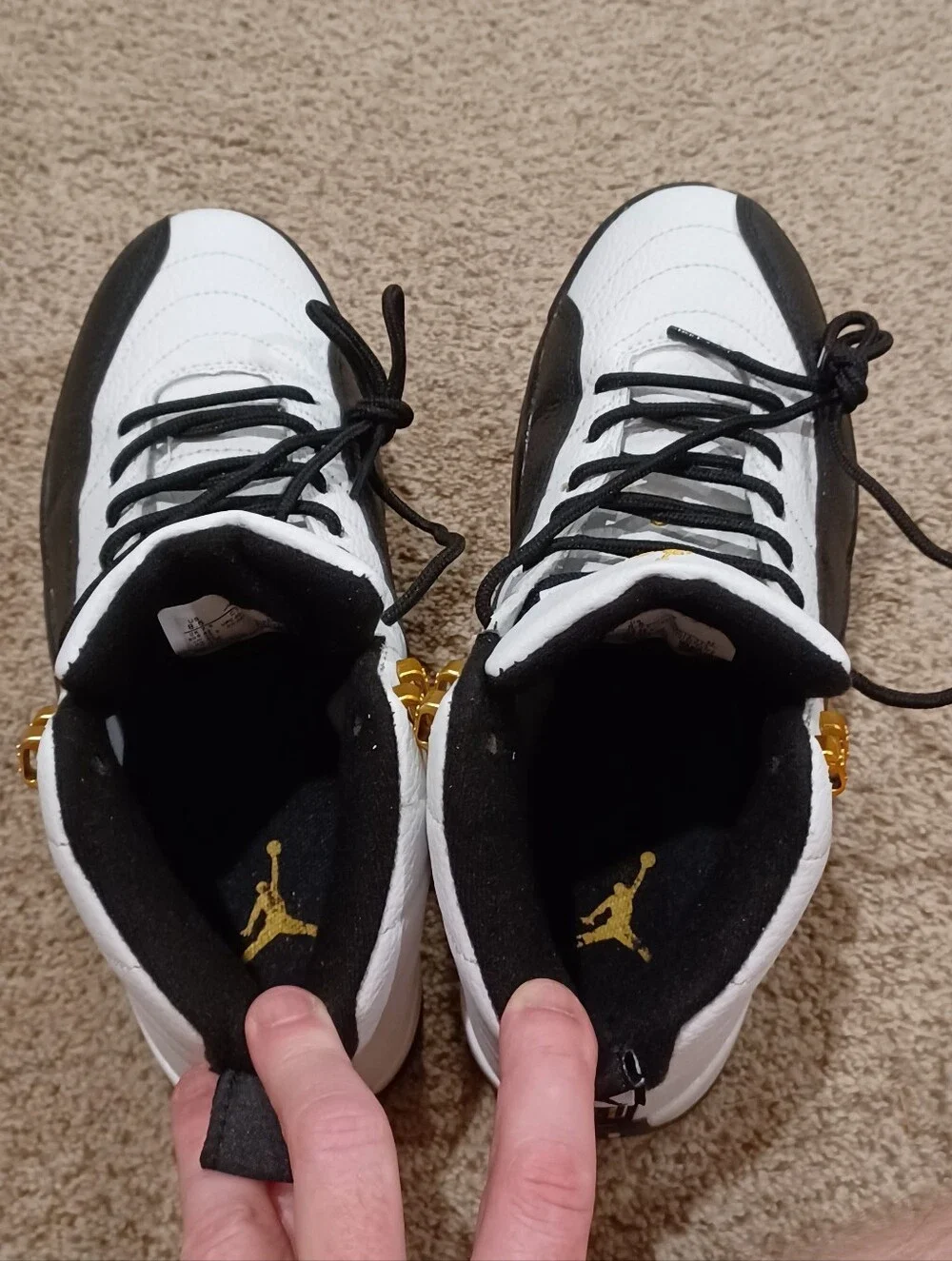 Air Jordan 12 Retro 